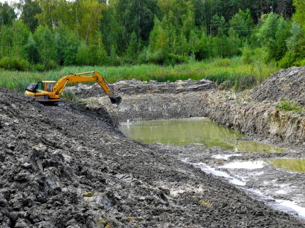 Cost of Fish Pond Digging in Tacoma