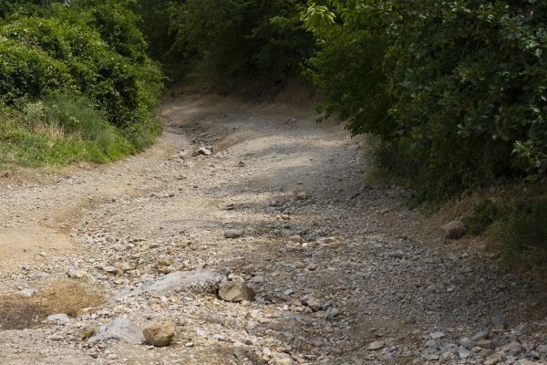 Cost of Gravel Road Pothole Repair in Tacoma