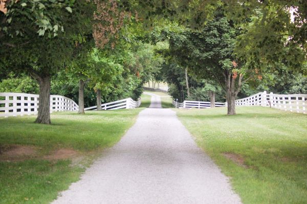 Cost of Gravel Road Installation in Tacoma
