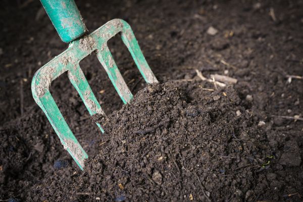 Topsoil Spreading in Tacoma