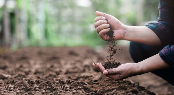 Soil Spreading Service