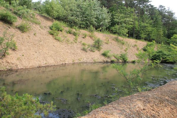 Cost of Pond Erosion Repair in Tacoma