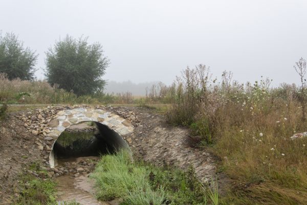 Cost of Culvert Excavation in Tacoma