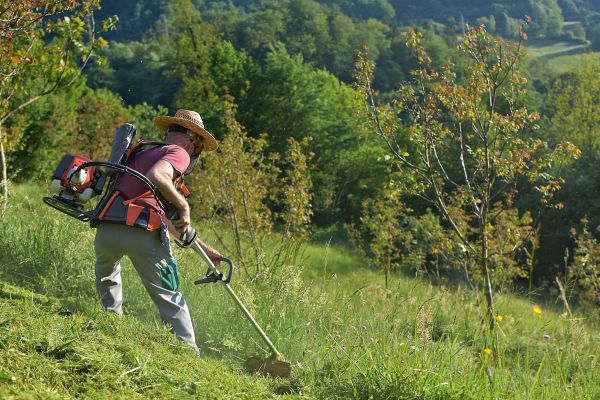 Cost of Slope Trimming in Tacoma