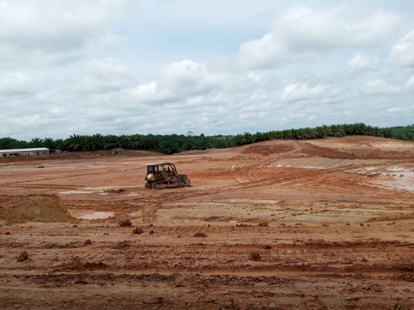 Cost of Land Preparation Service in Tacoma